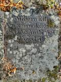 image of grave number 259600